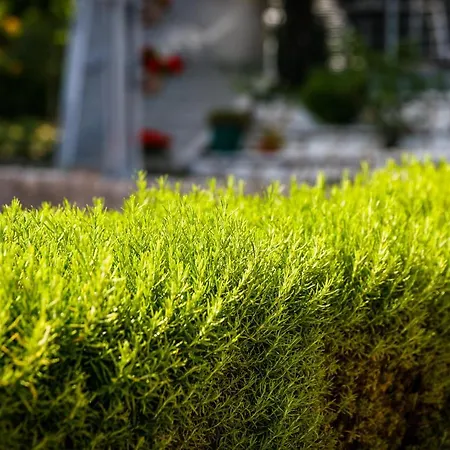 Nada 公寓 克尔克