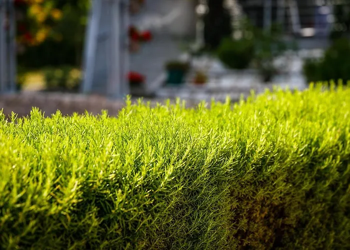 Nada Apartman Krk Town