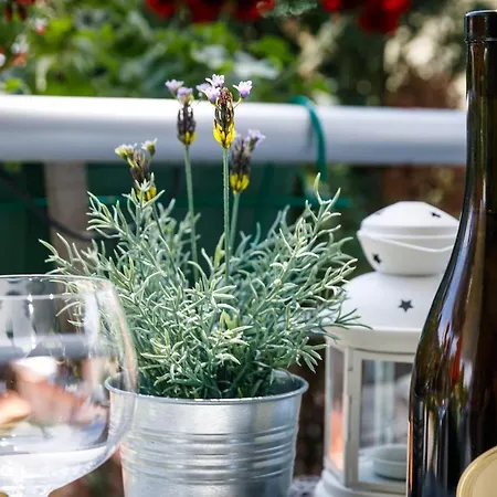 アパート Nada クルク