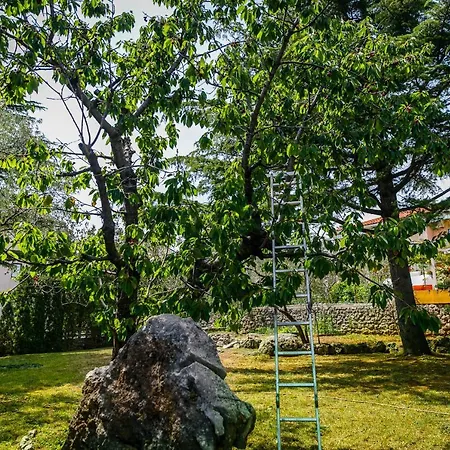 Nada Appartement Krk Town